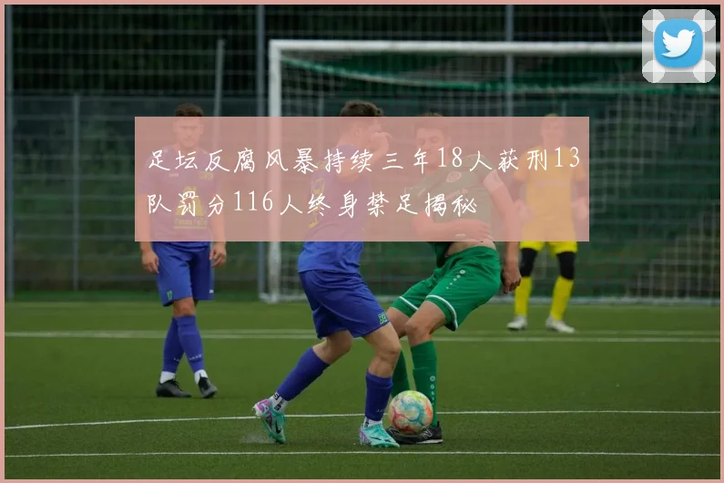 足坛反腐风暴持续三年18人获刑13队罚分116人终身禁足揭秘