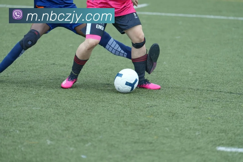 App Interface Preview